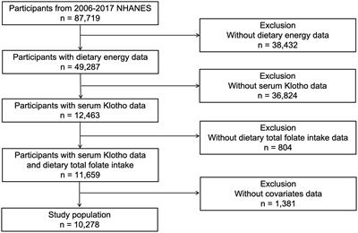 Dietary folate intake and serum klotho levels in adults aged 40–79 years: a cross-sectional study from the national health and nutrition examination survey 2007–2016